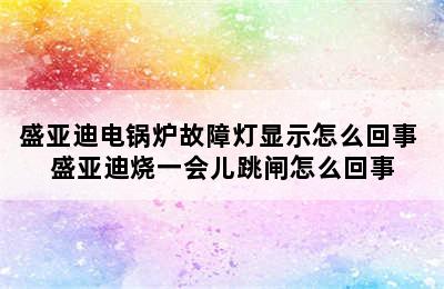 盛亚迪电锅炉故障灯显示怎么回事 盛亚迪烧一会儿跳闸怎么回事